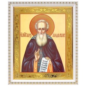 Преподобный Александр Свирский, икона в белой пластиковой рамке 17,5*20,5 см