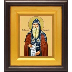 Преподобный Антоний Печерский, икона в широком киоте 16,5*18,5 см