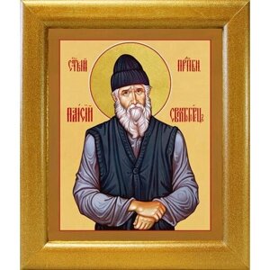 Преподобный Паисий Святогорец (лик № 398), икона в широкой рамке 19*22,5 см