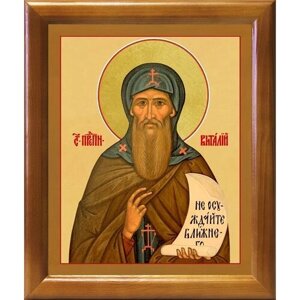 Преподобный Виталий Александрийский, икона в деревянной рамке 17,5*20,5 см