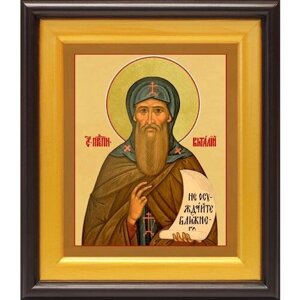 Преподобный Виталий Александрийский, икона в широком киоте 21,5*25 см