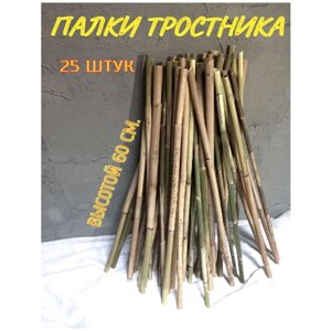 Природный материал 25 шт. 55-60 см. палки колышки для декора. Держатель садовый, опора для растений.
