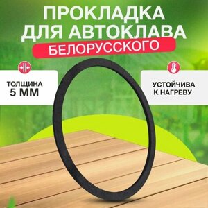 Прокладка резиновая для Белорусского автоклава