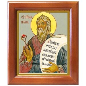 Пророк Исаия, икона в рамке 12,5*14,5 см