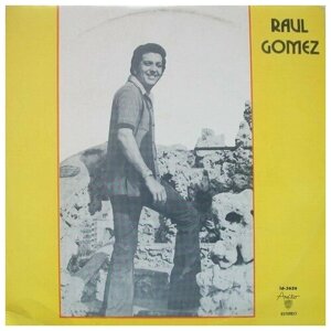 Raul Gomez Caminando Y Aprendiendo A Vivir / Винтажная виниловая пластинка / LP / Винил