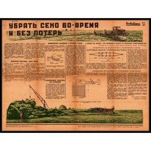 Редкий антиквариат; Плакаты СССР о растениеводстве овощеводстве; Формат А1; Офсетная бумага; Год 1940 г; Высота 52 см.