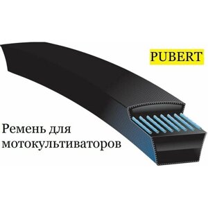 Ремень приводной для мотоблоков и культиваторов Pubert elite 65 bc2 13609A/ 0306030024-LA41