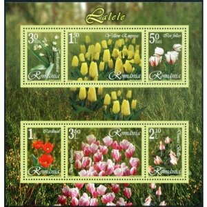Румыния-2006. Цветы: Тюльпаны. Блок. Негашеный