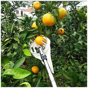 Садовый инструмент для сбора фруктов