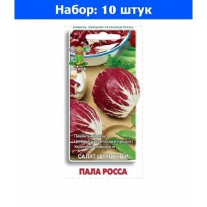 Салат цикорий Пала Росса 0,2г Ср (Поиск) - 10 пачек семян