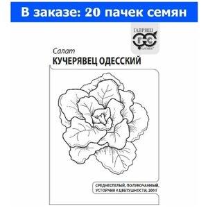 Салат Кучерявец Одесский полукочанный 0,5г Ср (Гавриш) б/п - 20 ед. товара