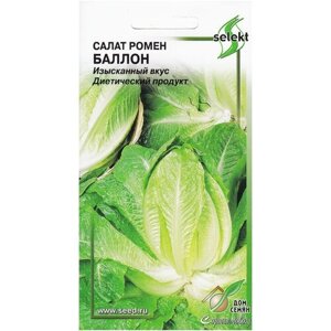 Салат ромен Баллон, 460 семян