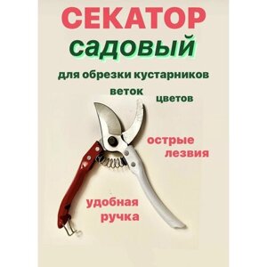 Секатор садовый для дачи, сада, для кустарников, цветов, садовые ножницы доя веток, 200 мм