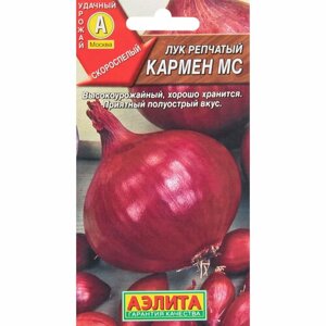 Семена Агрофирма АЭЛИТА Лук репчатый Кармен МС 0.5 г