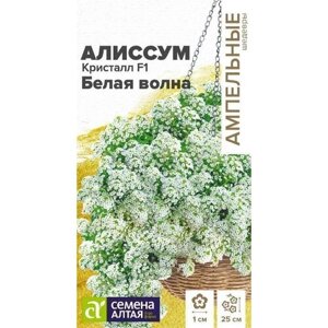 Семена Алиссума ампельного Кристалл F1 "Белая волна"0,01г)