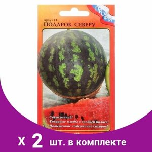 Семена Арбуз 'Подарок Северу' F1, серия Профи, 10 шт (2 шт)