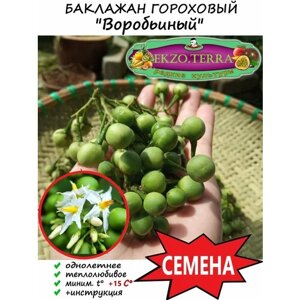 Семена Баклажан "Гороховый" 5 шт.