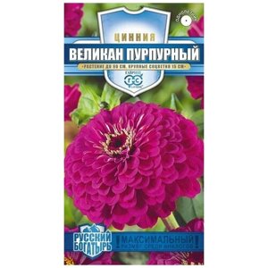 Семена Цинния Великан пурпурный серия Русский богатырь-3 упак.