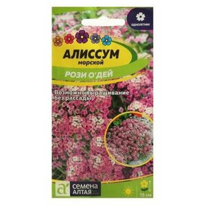 Семена цветов Алиссум "Рози О`Дей", Сем. Алт, ц/п, 0.1 г, 5 шт.