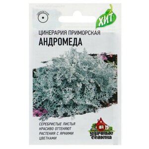 Семена цветов Цинерария приморская "Андромеда", О, 0,1 г серия ХИТ х3