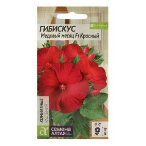 Семена цветов Гибискус "Медовый месяц", красный, 3 шт, 5 шт.