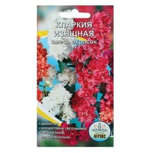 Семена цветов Кларкия изящная смесь окрасок, О, 0,2 г, 4 пачки