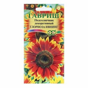 Семена цветов Подсолнечник декоративный "Глориоза Ивнинг", 0.5 г
