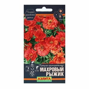 Семена Цветов Портулак крупноцветковый "Махровый Рыжик", 0.05 г