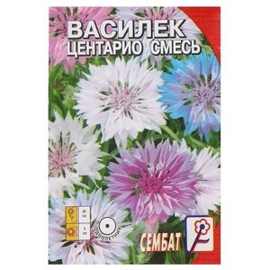 Семена цветов Василек Центарио, сместь, 0,2 г, 6 пачек
