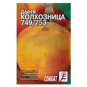 Семена Дыня "Колхозница 749/753", 0,5 г