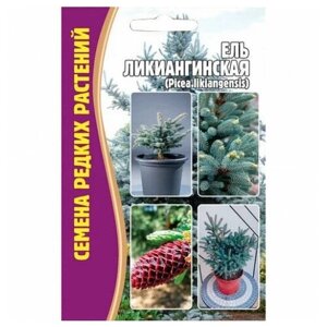 Семена Ели Ликиангинской (15 семян)