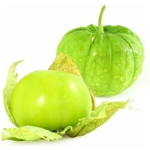 Семена Физалис овощной "Зеленый Гигант" 5 шт.
