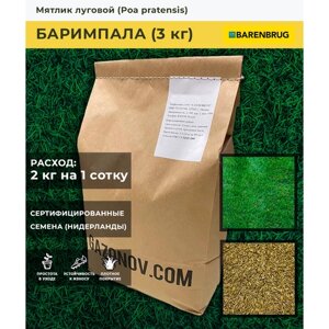 Семена газона Мятлик луговой сорт Баримпала Barenbrug (3 кг)