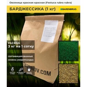 Семена газона Овсяница красная сорт Барджессика Barenbrug (1 кг)