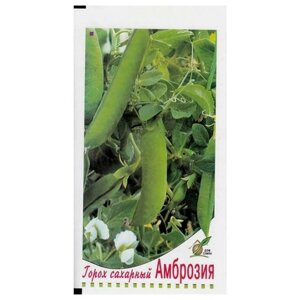 Семена Горох Амброзия 50шт для дачи, сада, огорода, теплицы / рассады в домашних условиях