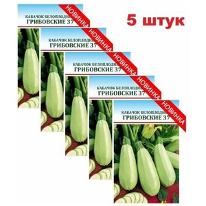 Семена Кабачков (5 упаковок) Кабачок белоплодный Грибовский 37 на рассаду Ф1 в открытый грунт F1 2023 год