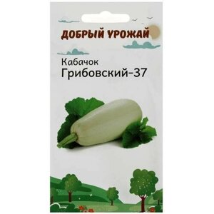 Семена Кабачок Грибовский-37 1 гр, 10 пачек