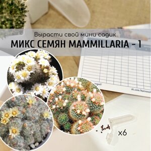 Семена кактусов Маммиллярии с белыми (смесь: Mammillaria crinita v. Seidelianaи prolifera / zeilmanniana v albiflora ) от Бюро семян суккулентов