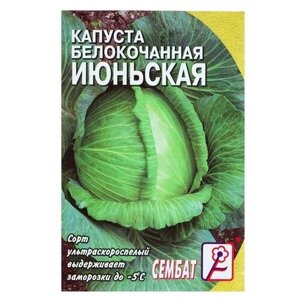 Семена Капуста белокачанная "Июньская", 0.5 г