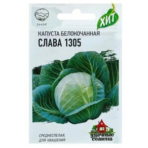 Семена Капуста белокочанная "Слава 1305", для квашения, 0,5 г серия ХИТ х3