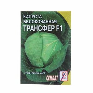 Семена Капуста белокочанная "Трансфер F1", 0,1 г (5 шт)