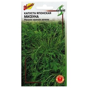 Семена Капуста японская Мизуна зеленая 300шт для дачи, сада, огорода, теплицы / рассады в домашних условиях