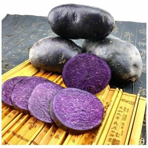 Семена Картофель фиолетовый, редчайший (Гурман) 10 шт.