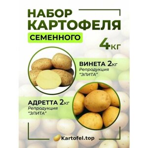 Семена картофеля на посадку набор 4 кг