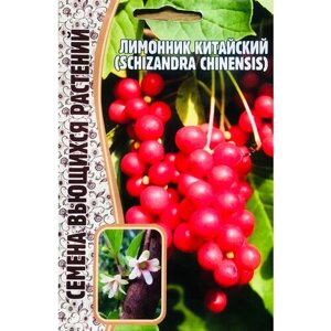 Семена Лимонника китайского (Schizandra chinensis) (5 семян)