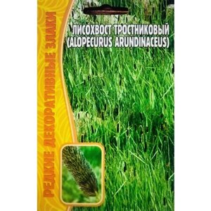Семена Лисохвоста тростникового (Alopecurus arundinaceus) (0,08 г)