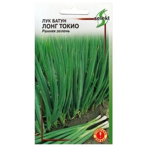 Семена Лук батун Лонг Токио 80шт для дачи, сада, огорода, теплицы / рассады в домашних условиях
