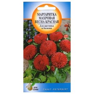 Семена Маргаритка Весна Красная 250шт для дачи, сада, огорода, теплицы / рассады в домашних условиях