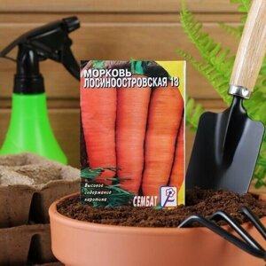 Семена Морковь Лосиноостровская 13, 2 г, 5 пачек