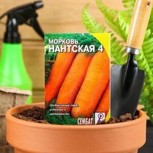 Семена Морковь Нантская 4, 2 г, 7 пачек